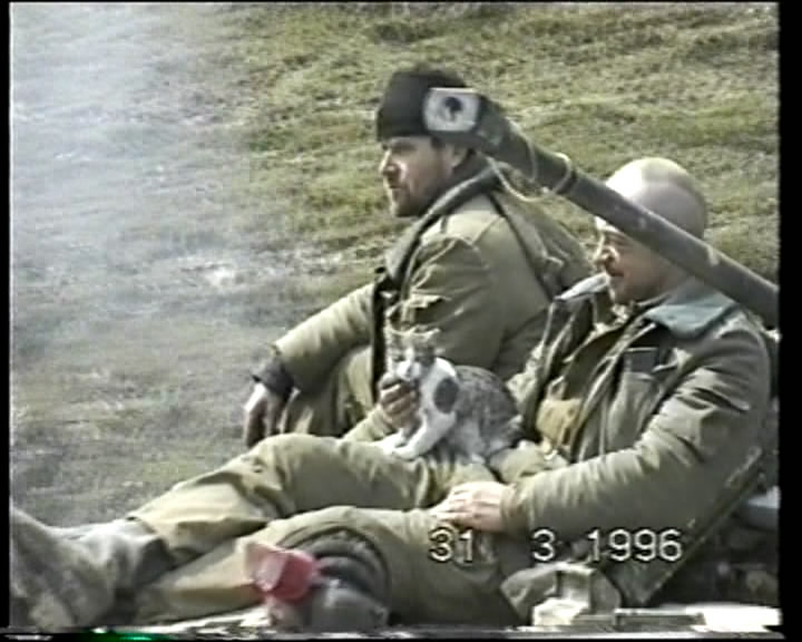 Чеченская война, 1996, котёнок